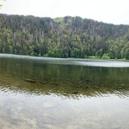 Blackforest Lounge Direkt An Der Skipiste, In&ski Out, Skischule Im Haus, Startpunkt Für Wanderungen Apartment *