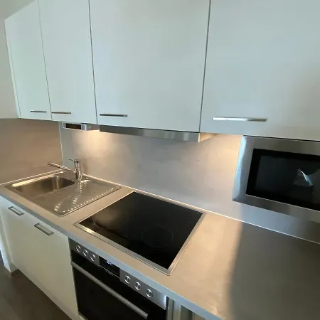 Apartment Blackforest Lounge Direkt An Der Skipiste, In&ski Out, Skischule Im Haus, Startpunkt Für Wanderungen *